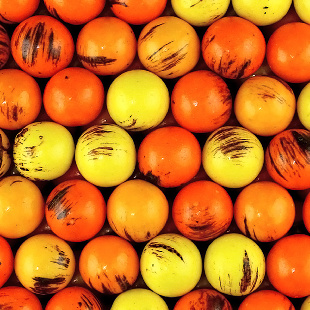 Жевательная резинка 22 мм "Тигра"