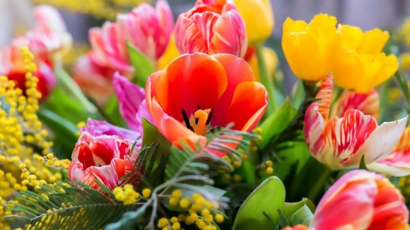 С Международным женским днём! В эти первые весенние дни весь мир сияет в вашу честь! 